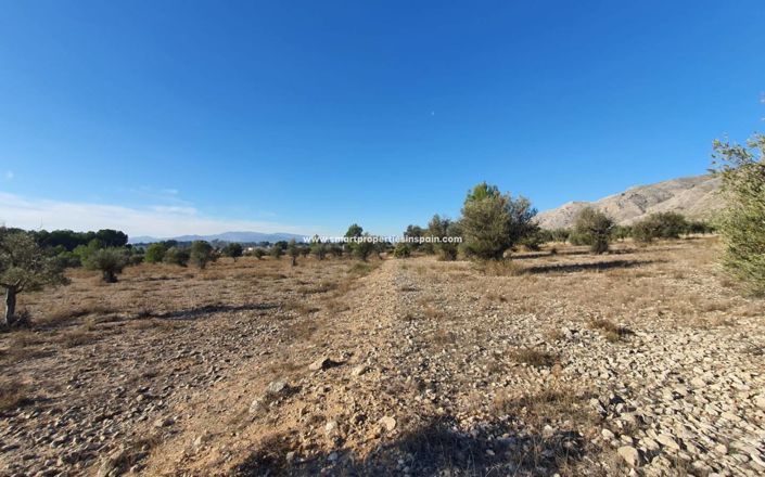 Image No.13-Plot for sale