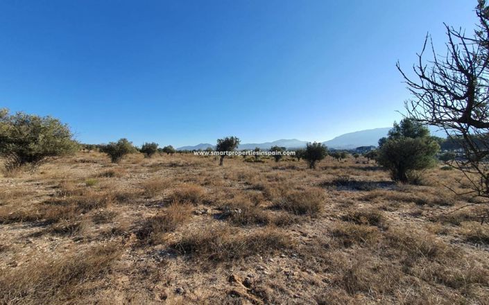 Image No.2-Plot for sale