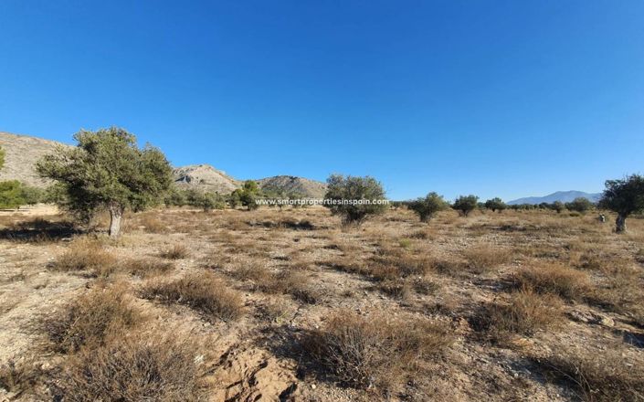 Image No.3-Plot for sale