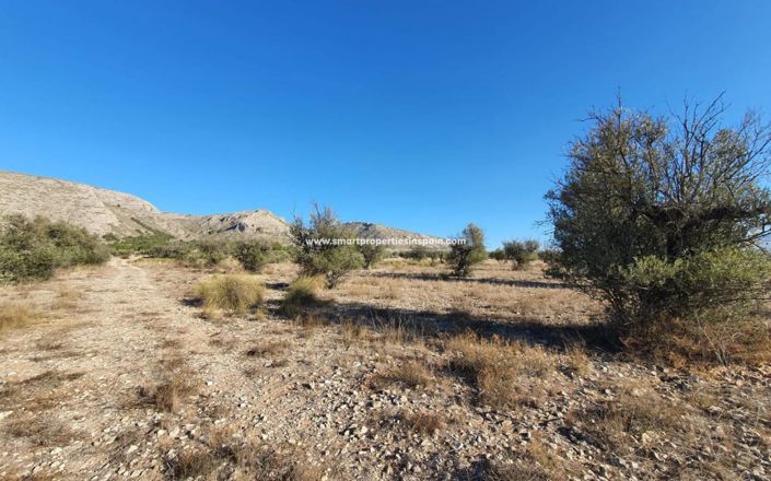 Image No.7-Plot for sale