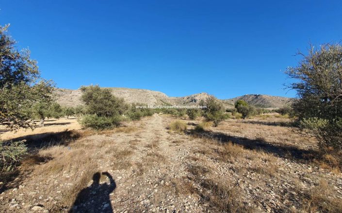 Image No.8-Plot for sale