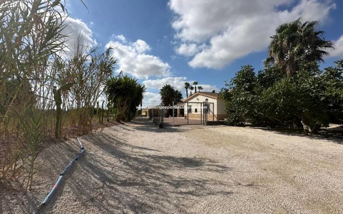 Image No.39-3 Bed Country House for sale