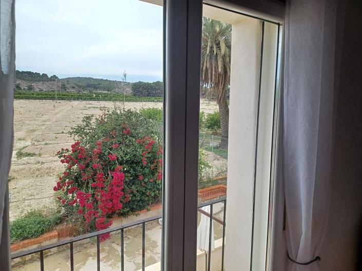 Image No.16-Ferme de 4 chambres à vendre à Orihuela