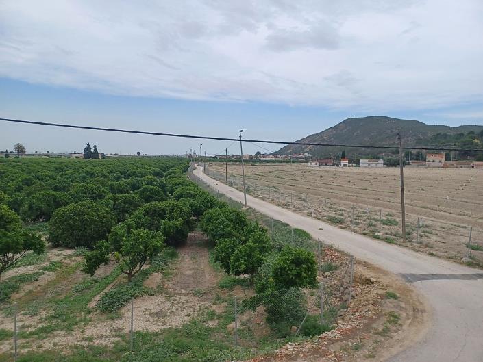 Image No.28-Ferme de 4 chambres à vendre à Orihuela