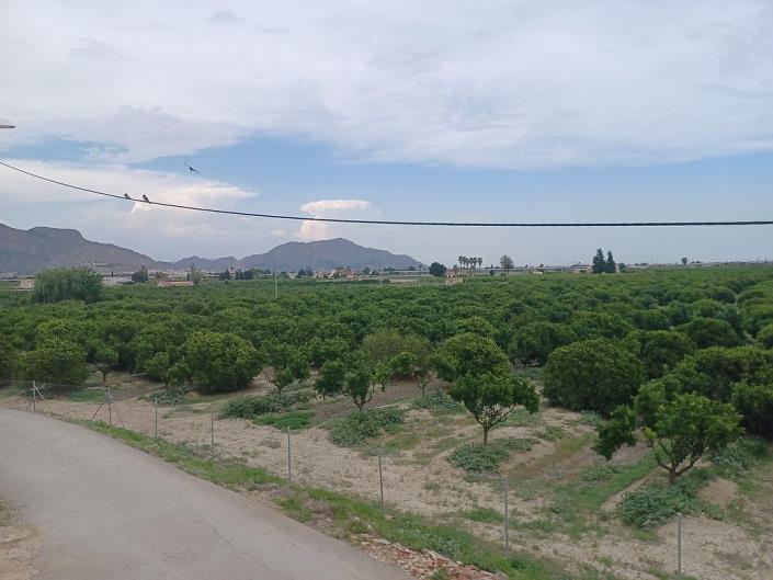 Image No.29-Ferme de 4 chambres à vendre à Orihuela