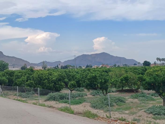Image No.30-Ferme de 4 chambres à vendre à Orihuela
