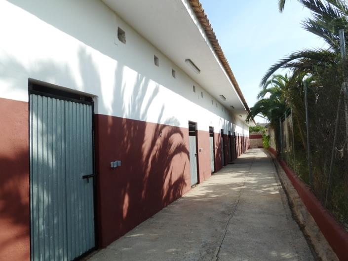 Image No.5-Finca for sale