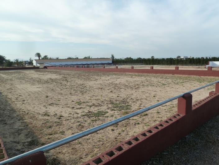 Image No.11-Finca for sale