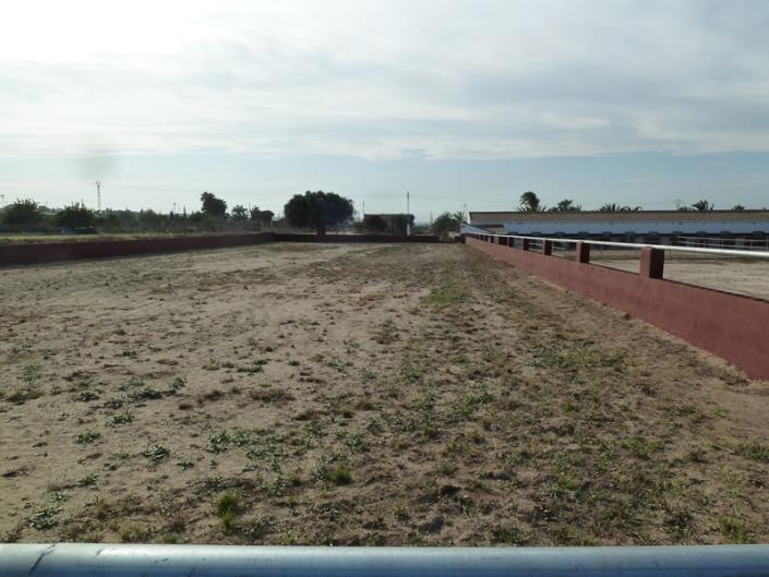 Image No.17-Finca for sale