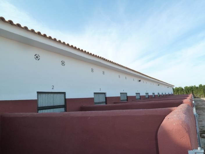 Image No.19-Finca for sale