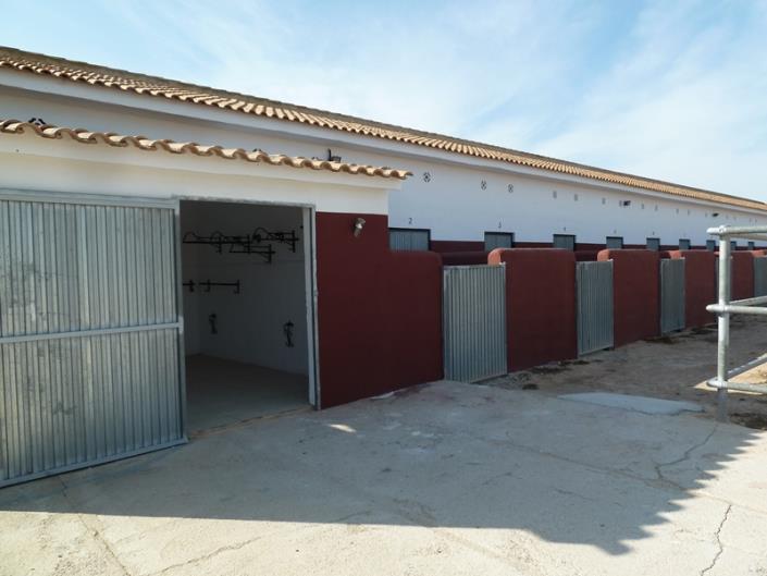 Image No.20-Finca for sale