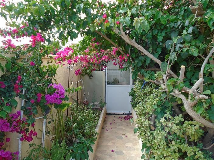 Image No.51-3 Bed House for sale