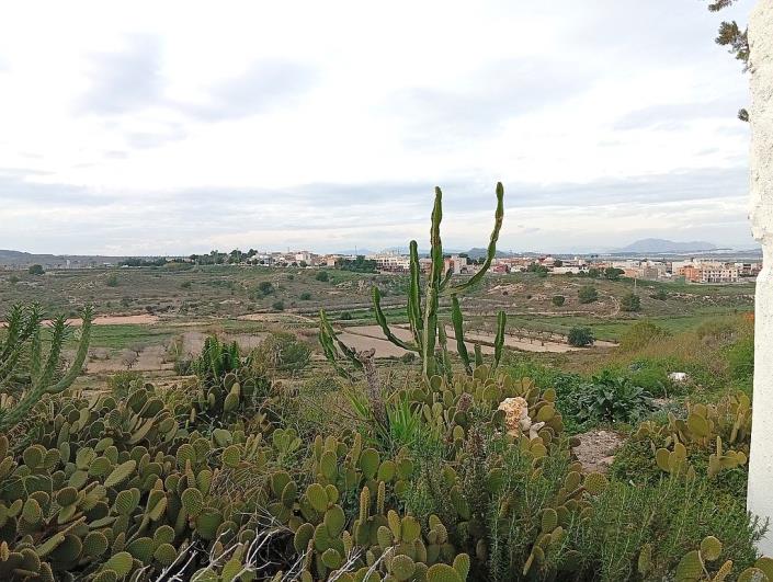 Image No.4-4 Bed Townhouse for sale