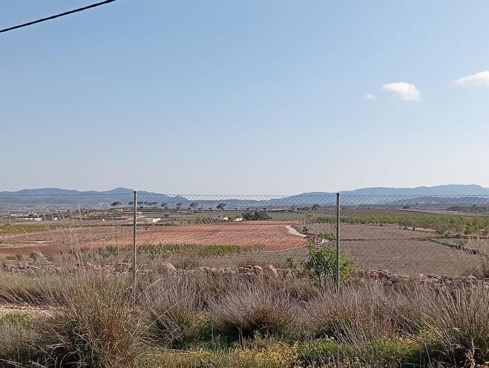 Image No.8-4 Bed Finca for sale