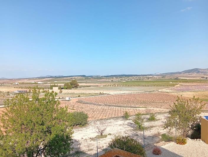Image No.21-4 Bed Finca for sale