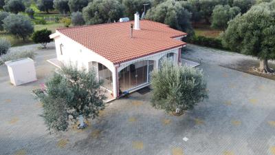 DJI_0326