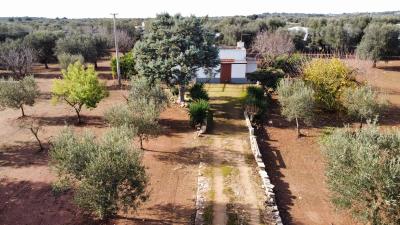 dji_fly_20221217_114636_683_1671274915794_photo_optimized