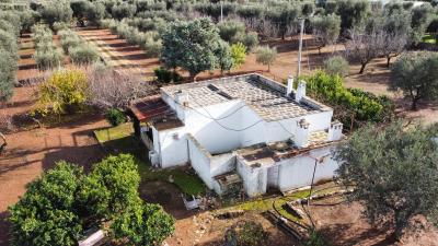dji_fly_20221217_114836_686_1671274908476_photo_optimized