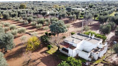 dji_fly_20221217_114928_688_1671274903684_photo_optimized