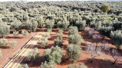 dji_fly_20221217_115012_689_1671274901445_photo_optimized