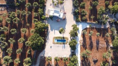 DJI_0219