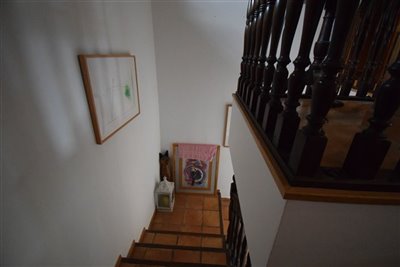 property12891599