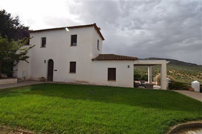 property128915911