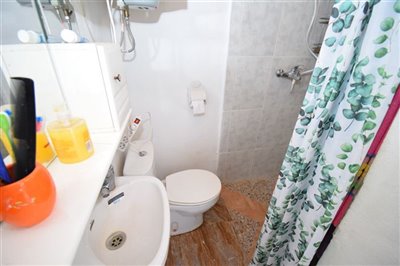 property120784318