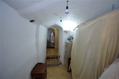 property120784381