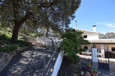 property143185147