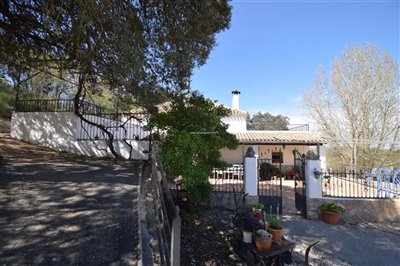 property143185246