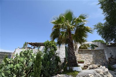 property144749247