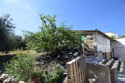 property144961412