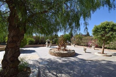 property146748537