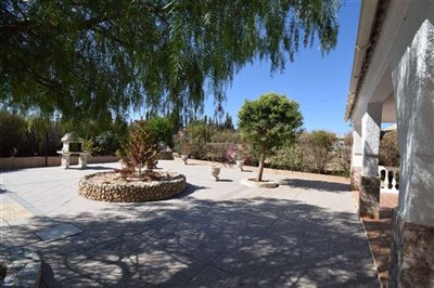 property146748197