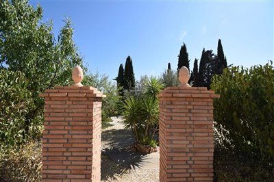 property14674812