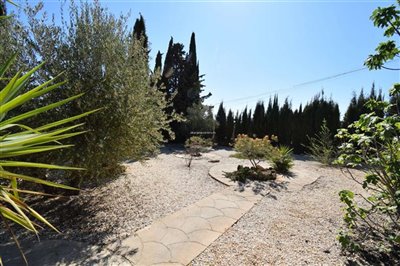 property146748904