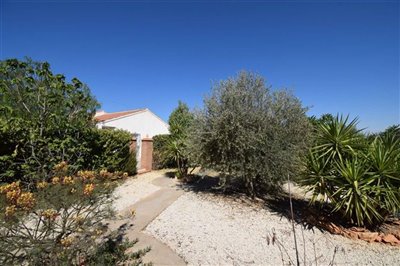 property146748982