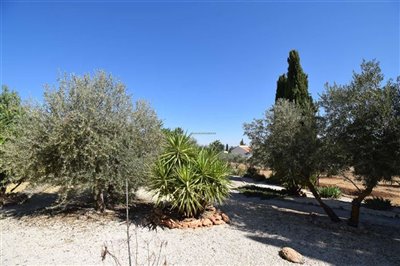 property146748326