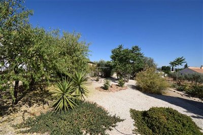property146748358