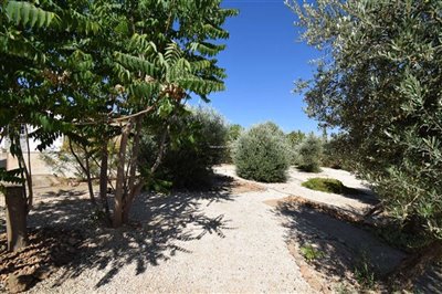property146748302