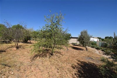 property146748943