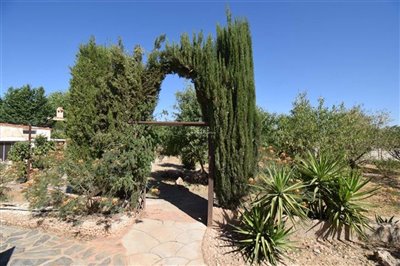 property146748761