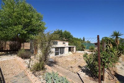 property146748834