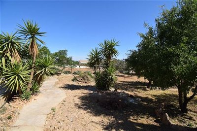 property146748458