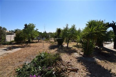 property146748988
