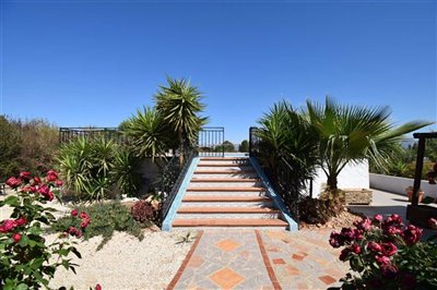 property146748296
