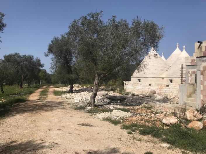 Image No.4-Villa de 5 chambres à vendre à Ostuni