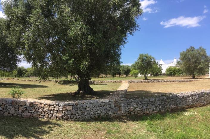 Image No.31-Villa de 5 chambres à vendre à Ostuni