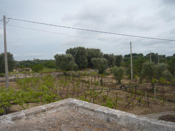 Image No.18-6 Bed Farmhouse for sale